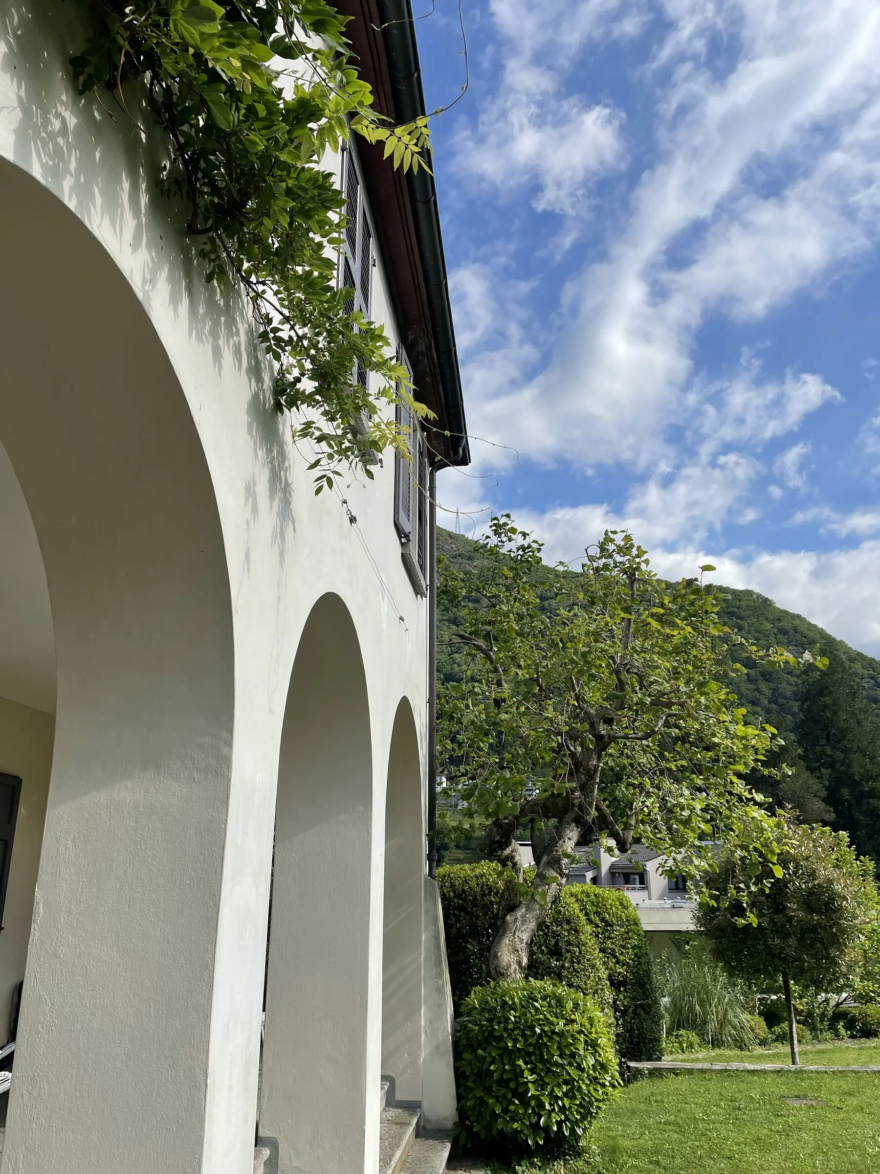 Tiefperspektive auf die Arkaden mit Glyzinie, Baum und Bergen im Hintergrund